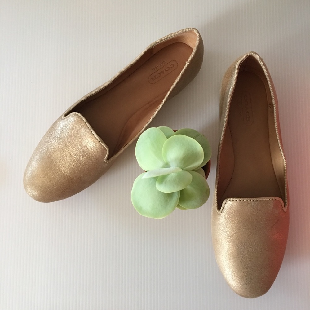 {Coach} Catrin Tonal Brsh Off Met Flats